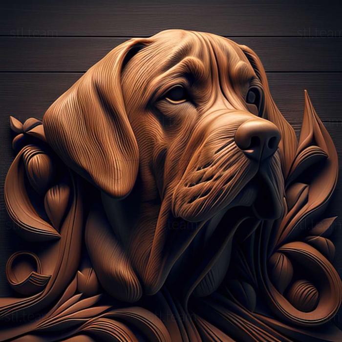 Animals The Hound of Artoise dog